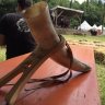 Horntrinker